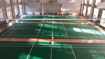專注品質，服務運動——北京達森運動木地板有限責任公司